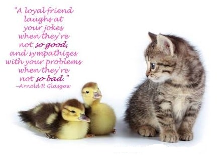 True Friendship Quotes – For Letting your Friend Know about friendship
