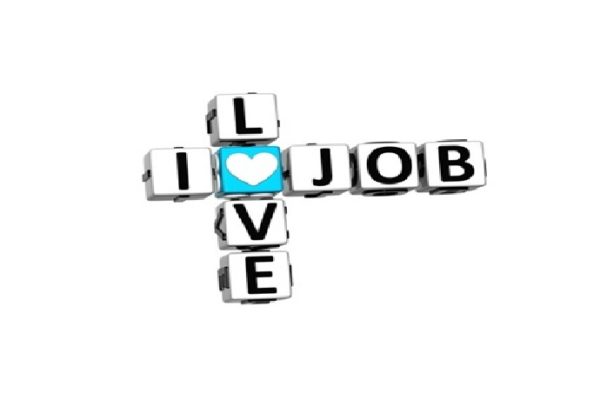How To Choose A Career