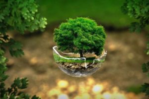 How EcoFreek Is Saving The Earth