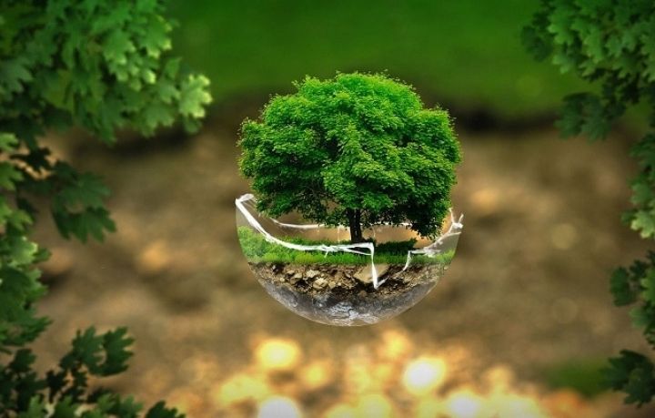 How EcoFreek Is Saving The Earth How EcoFreek Is Saving The Earth