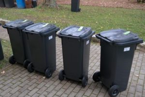 Skip Bins