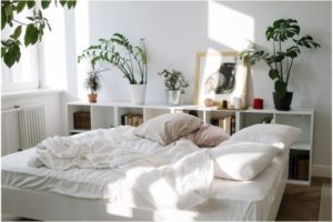 Your Small Apartment