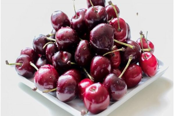 Can You Give Dogs Cherries